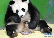 探索山东：文化与科技交融的旅行攻略