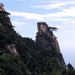 泰山旅游攻略：探寻平安幸运星的100万游客之旅